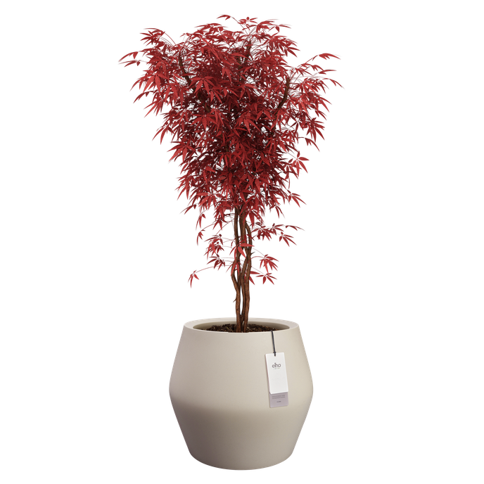 june split low 46cm greige